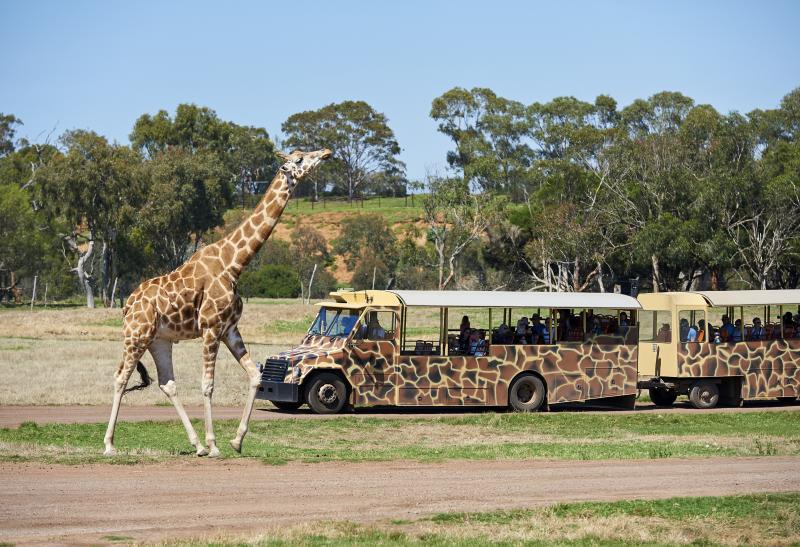ANZAC Day Long Weekend Visit Werribee & Surrounds